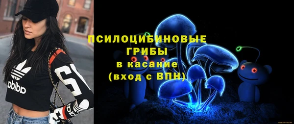 apvp Зуевка