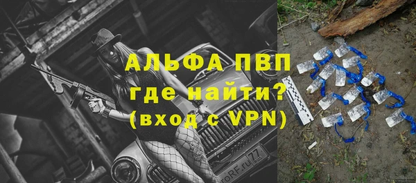 гидра Арсеньев