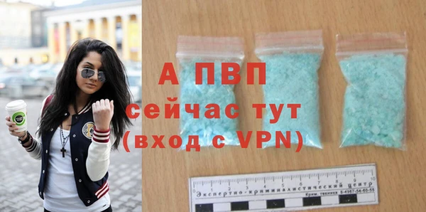 гидра Арсеньев